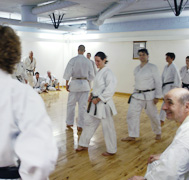 karate do