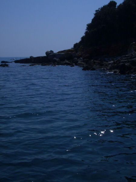 %_tempFileNameBild%20099%