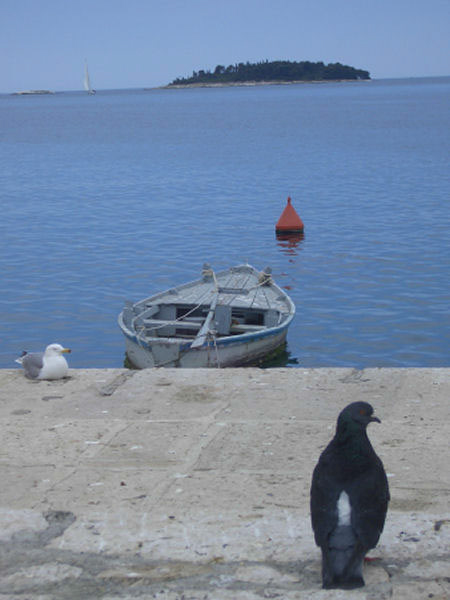 %_tempFileNameBild%20105%