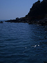 %_tempFileNameBild%20099%