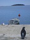 %_tempFileNameBild%20105%