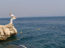 %_tempFileNametr07-7c%