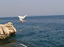 %_tempFileNametr07-7e%