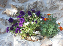 %_tempFileNameTrpanj-08%20131%
