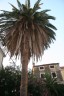 Trpanj10_1