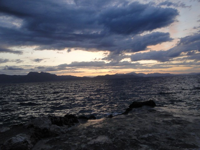 DSC02230