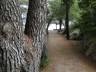 DSC02068