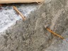 DSC02092