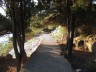 DSCF0307