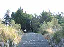 %_tempFileNameDSCF0208%