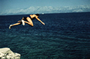%_tempFileNameimg006%